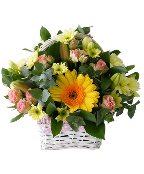 Cestino regalo